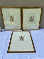 All three framed botanical prints displayed together