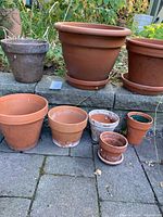 Eight assorted terracotta pots arranged on stone step
