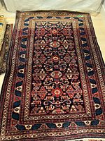 Full view of Persian rug showing intricate geometric and floral pattern with multiple border designs.