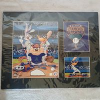 Front view of Looney Tunes plaque