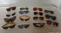 Group shot of sixteen assorted sunglasses arranged in rows