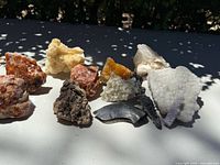 Top-down photo of all mineral and crystal specimens arranged together on a flat white surface under natural light