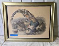 Full view of framed pheasant print in gold frame