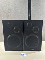 Front view of both Aiwa SX-750 speakers