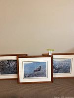 Three framed wildlife prints by Paul Rankin side by side leaning on wall, signed and numbered print set