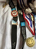 Close-up of lanyard with loose pins and Mickey medal
