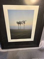 Front view of framed photograph