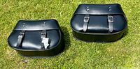Top view of both saddlebags on grass