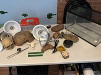 Overview showing terrarium, lamps, rocks, skulls, dishes, critter keeper and accessories on table