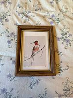 Full view of framed Allen's Hummingbird art on a floral fabric background.