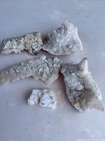 Five dolomite raw crystal clusters in natural white and off-white tones, with visible crystal formations and texture variations.