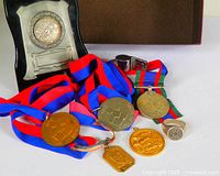 Group shot of all medals, ring, cuff bracelet, plaque