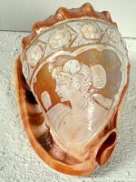 Full view of carved seashell showing cameo and shell shape