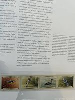 Strip of four bird stamps mounted in album page