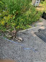 Full view of antique push seeder on gravel