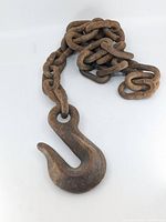 Hook and portion of chain displaying overall form