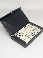 Open case showing domino tiles neatly arranged