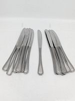All thirteen Japanese stainless steel dinner knives arranged