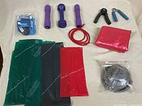 All items laid out: yoga ball, pump, dumbbells, bands, grippers