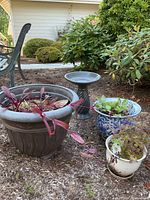 Overall view of birdbath and three planters