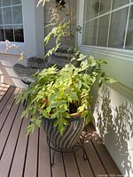 Ceramic swirl pot with leafy shrub on metal stand on deck