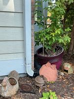 Overall view of pot with rosebush, ceramic chicken planter, metal snail, terracotta plaque, ceramic critter houses