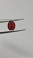 Close-up photo of natural oval cut cherry red garnet held by tweezers, showing deep red color and facets
