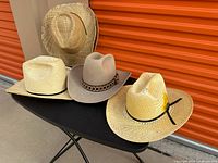 All five hats displayed on table