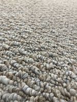 Close-up of pile showing looped Berber texture and colour
