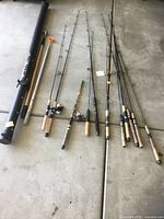 Group shot showing rods, reels, tube, pole