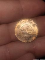 Reverse of 1942 Canadian 5-cent tombac coin showing beaver design and date