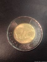 Reverse side of 2022 $2 coin showing polar bear and black ring