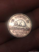 Reverse side showing beaver design, year 1963 and denomination