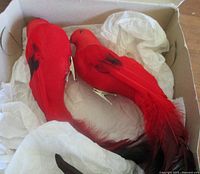 Both red birds in box on tissue