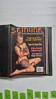 Binder showing Skin & Ink magazine cover