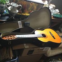 Full view of guitar inside hard shell case