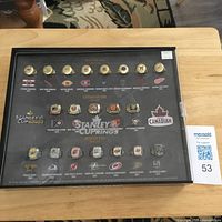 Full view of case closed showing 20 rings inside