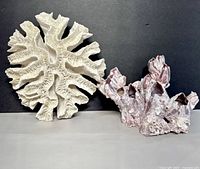 Both the white decorative coral and the purple barnacles cluster displayed side by side on a black and gray background to show scale and detail.