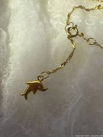 Full view of necklace showing dolphin pendant and chain