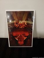 Front view of Vampirella #12 comic book in bag and board