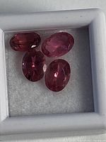 Four oval pink tourmalines in white display box, overhead view