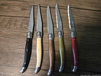 Five Laguiole steak knives lined up showing handle colours and blade length