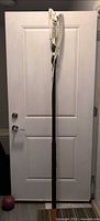 Full view of extendable pole pruner leaning against door showing entire length