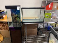 Two aquariums side by side; left tank on cabinet stand, right open-top tank on metal cart