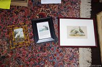 Three framed bird art prints on patterned carpet showing a bamboo-style framed egret, a dark brown framed Thoreau print with text, and a larger reddish dark framed A. Ridler shore birds print.