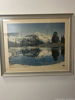 Full view of framed Garibaldi Provincial Park photograph on wall