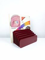 Organizer holding a large record sleeve to show capacity