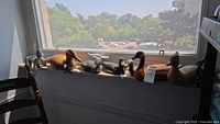 All seven wooden duck decoys lined on window ledge