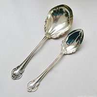 Both spoons full length