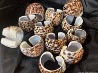 All 12 cowrie shell napkin rings displayed on black fabric